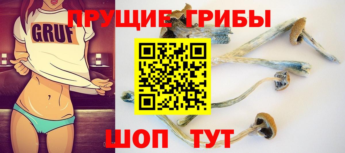 Карпинск  Галлюциногенные грибы Cubensis  Псилоцибиновые грибы прущие грибы  Вход с VPN 